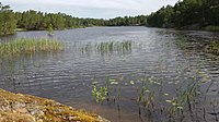 English: Björnträsket is a lake on the island of Ingarö in the Stockholm archipelago, Sweden. Svenska: Björnträsket är en sjö i Värmdö kommun i Uppland; Ingarö i Stockholms skärgård. Čeština: Björnträsket je jezero na ostrově Ingarö ve Stockholmském souostroví, Švédsko.