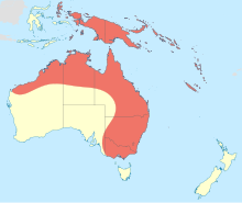 Isostictidae tarqatish map.svg