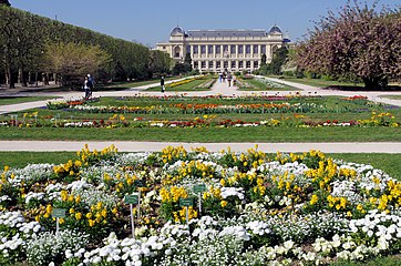 Jardin des Plantes with Natural History Museum in the background, Paris 2014.jpg