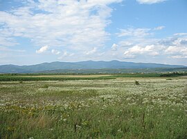 Jastrebac iz Toplice1.jpg