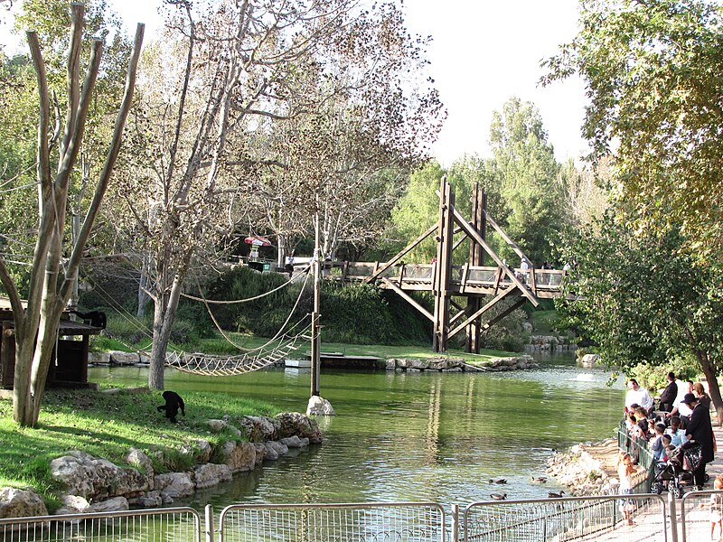 File:Jerusalem Zoo lake.jpg