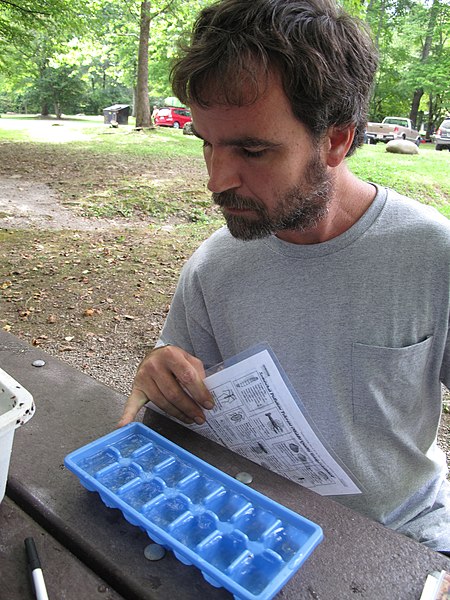 File:Jim Killebrew identifying macroinvertebrate stream animals (4947679185).jpg