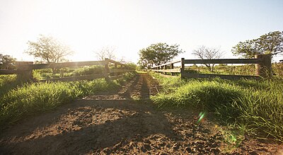 Jurlique farm in Adelaide Southern-Australia.jpg