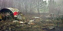 Trümmer der in Smolensk abgestürzten polnischen Regierungsmaschine