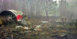 Katastrofa w Smoleńsku.jpg