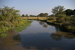 Katuma River.jpg