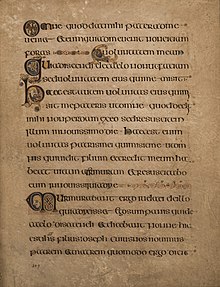 The Book of Kells: Initial letter V - Graphic Illustrations from Old-Time  Manuscripts and Old Books