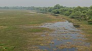 Thumbnail for Keoladeo National Park