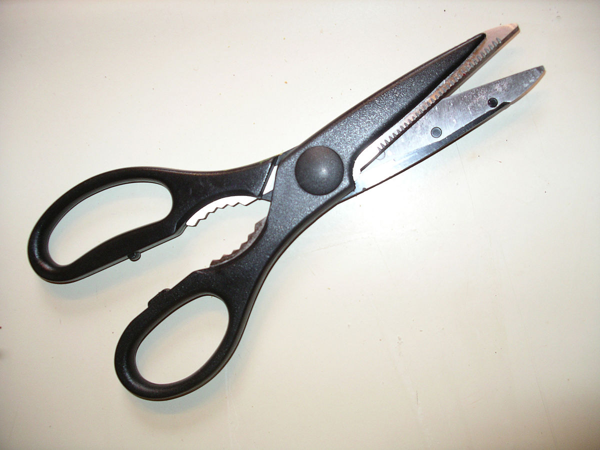 https://upload.wikimedia.org/wikipedia/commons/thumb/8/89/Kitchenscissors.jpg/1200px-Kitchenscissors.jpg