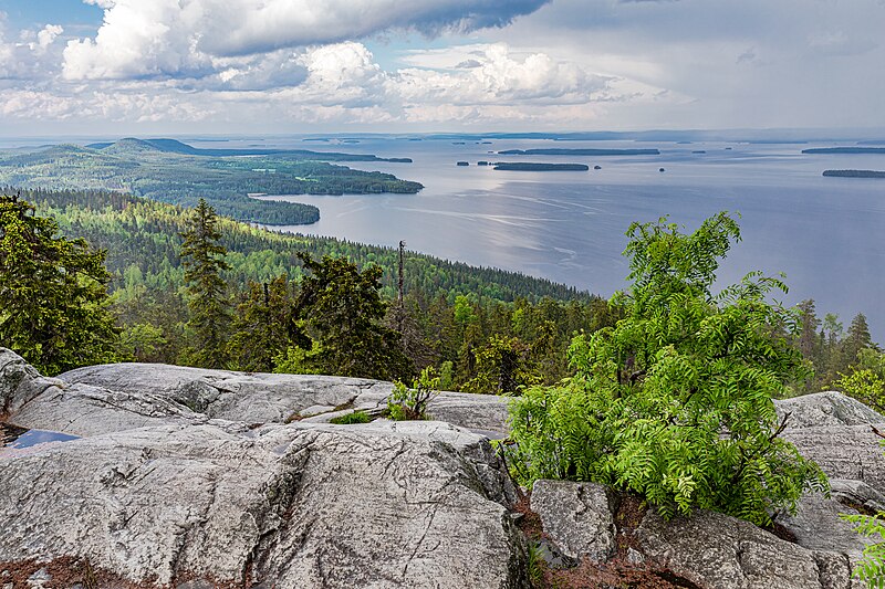 File:Koli National Park, Finland (52160668690).jpg