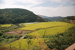 Agriculture in South Korea - Wikipedia