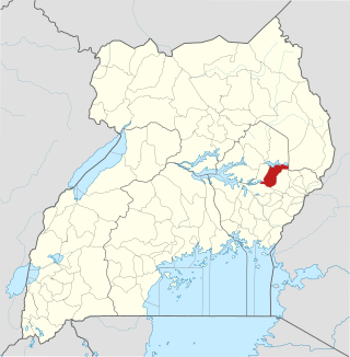 <span class="mw-page-title-main">Kumi District</span> District in Eastern Uganda, Uganda