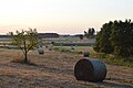 * Nomination: A view towards Rapšach from Kunšach --Suisant7 14:50, 16 July 2023 (UTC) * * Review needed