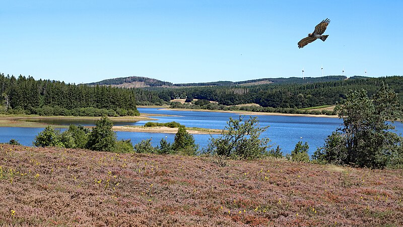 File:Lac de Vezoles (3).jpg