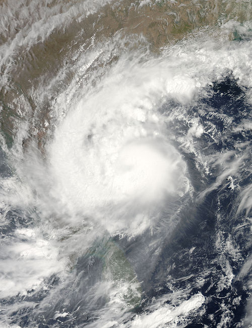 2010 North Indian Ocean cyclone season