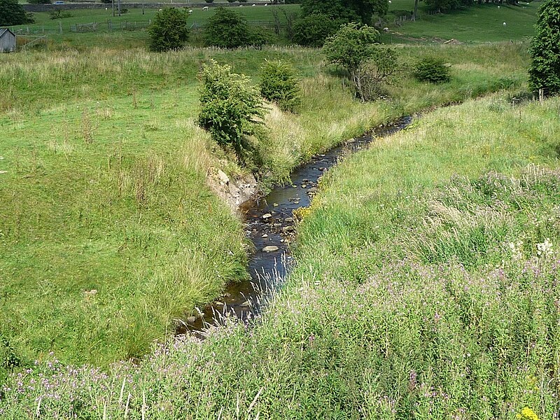 File:Laneshaw-near-Laneshawbridge.JPG