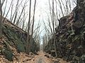 Thumbnail for Larkin State Park Trail