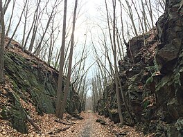 LarkinStateParkTrail-MiddleburyCT.JPG