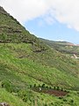 Levada do Caniçal, Parque Natural da Madeira - 2018-04-08 - IMG 3441.jpg