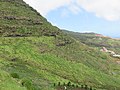 Levada do Caniçal, Parque Natural da Madeira - 2018-04-08 - IMG 3442.jpg