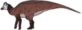 Arenysaurus