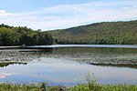 Thumbnail for Lily Lake (Pennsylvania)