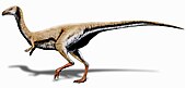 Artistic restoration of Limusaurus inextricabilis Limusaurus inextricabilis.jpg