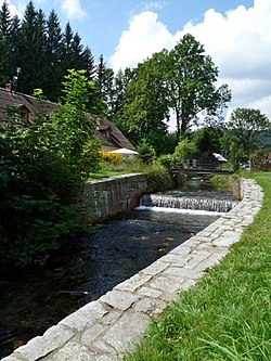 Staříč v Lipové-lázních v roce 2014