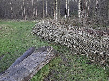 Log bench at Moseley bog