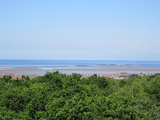 Looking towards Hilbre Island from Caldy Hill - IMG 0823