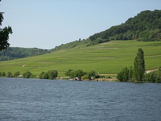 Moselle Valley geographical region in Belgium, France, Germany and Luxembourg