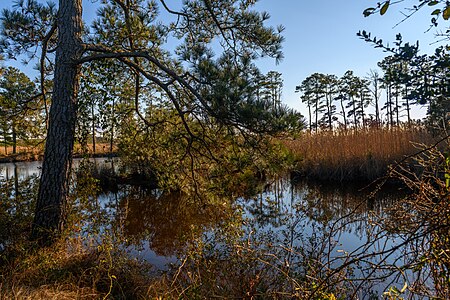 Mackay Island Wildlife Refuge