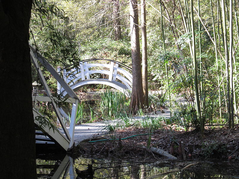 File:Magnolia Plantation and Gardens - Charleston, South Carolina (8555461079).jpg