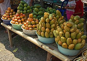 La mangue  Cultures sucre