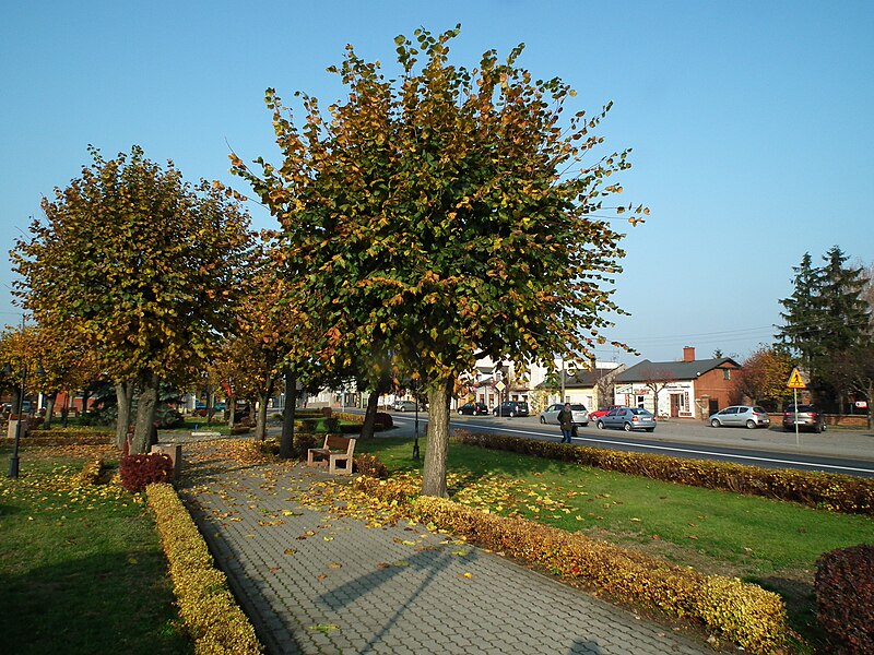 File:Market Square in Lubien Kujawski (2).jpg