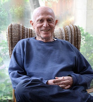 <span class="mw-page-title-main">Moshe Lang</span> Australian family therapist, clinical psychologist and author