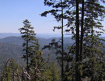 The view looking south from the Appalachian Trail, near the summit of Sequoyah