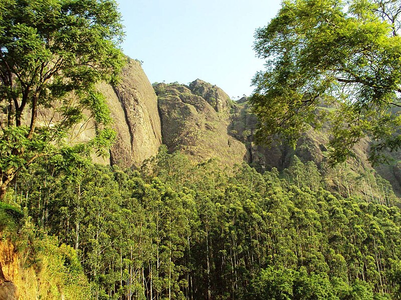 File:Munnar - panoramio (2).jpg