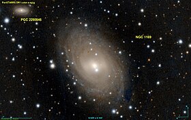 Иллюстративное изображение статьи NGC 1169