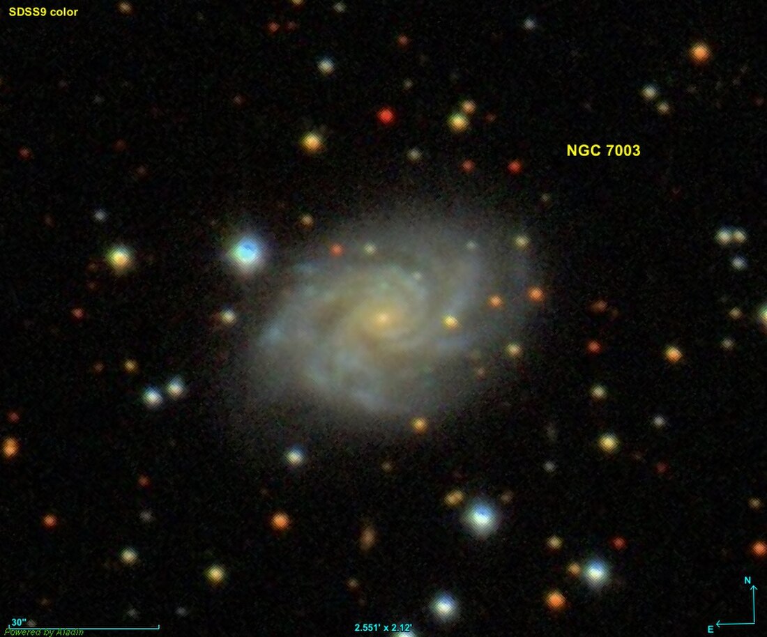 NGC 7003