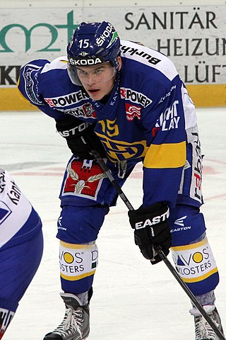 <span class="mw-page-title-main">Grégory Hofmann</span> Swiss ice hockey player