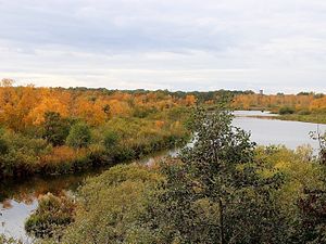 Uitzicht vanaf de uitkijktoren "Moorochse" over de voormalige turfafzettingen in de NSG noordoever van Plauer See