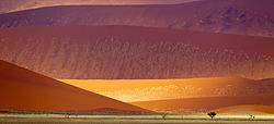 Namib-Naukluft Sand Dunes (2011).jpg