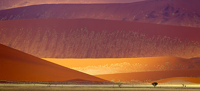 Sand dunes in the Namib-Naukluft National Park