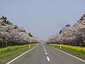 2010年5月5日 (水) 11:32時点における版のサムネイル