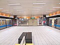 Nanshijiao Station (Platform, Center)