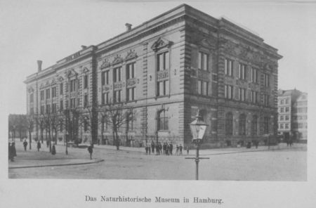 Naturhist Museum Hamburg 1891