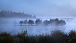 Marco Bergner Neu! mit Frühmorgendliche Nebelstimmung im Fockbeker Moor