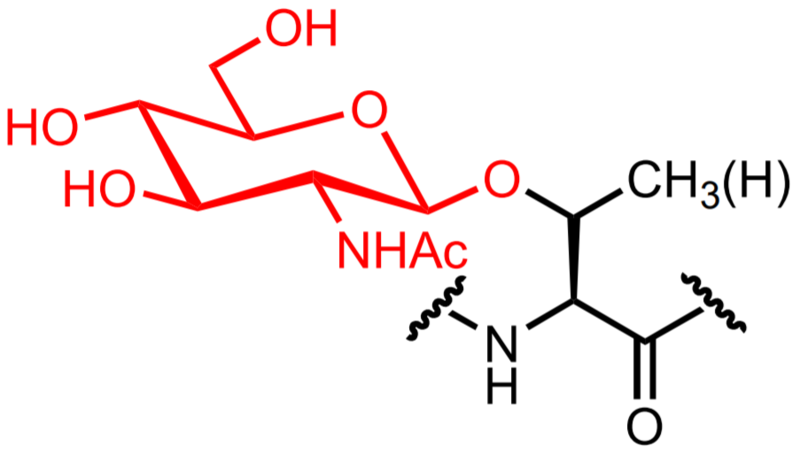 File:O-GlcNAc clear red.png