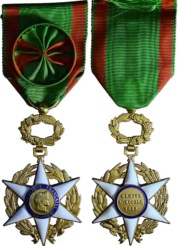 Officer's insignia (obverse and reverse)